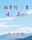 偏要抢（妻妹，高H）