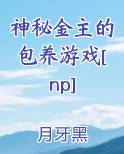 神秘金主的包养游戏[np]
