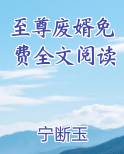 至尊废婿免费全文阅读